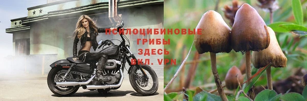 крисы Михайлов