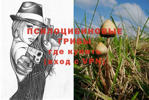 крисы Михайлов