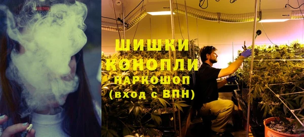 шишки Михайловка