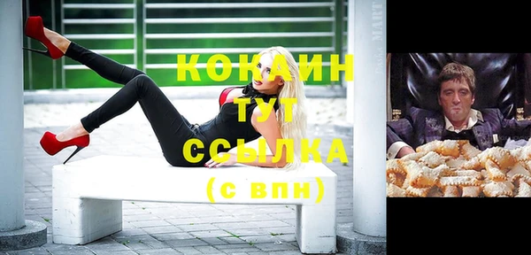 шишки Михайловка