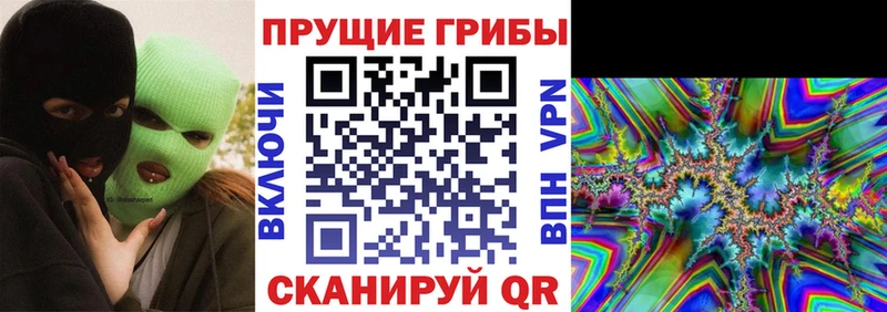 Галлюциногенные грибы Magic Shrooms  закладка  omg ONION  Черноголовка 